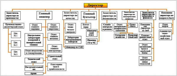 Курсовая работа: Структурный аспект организации систем Виды организационных структур